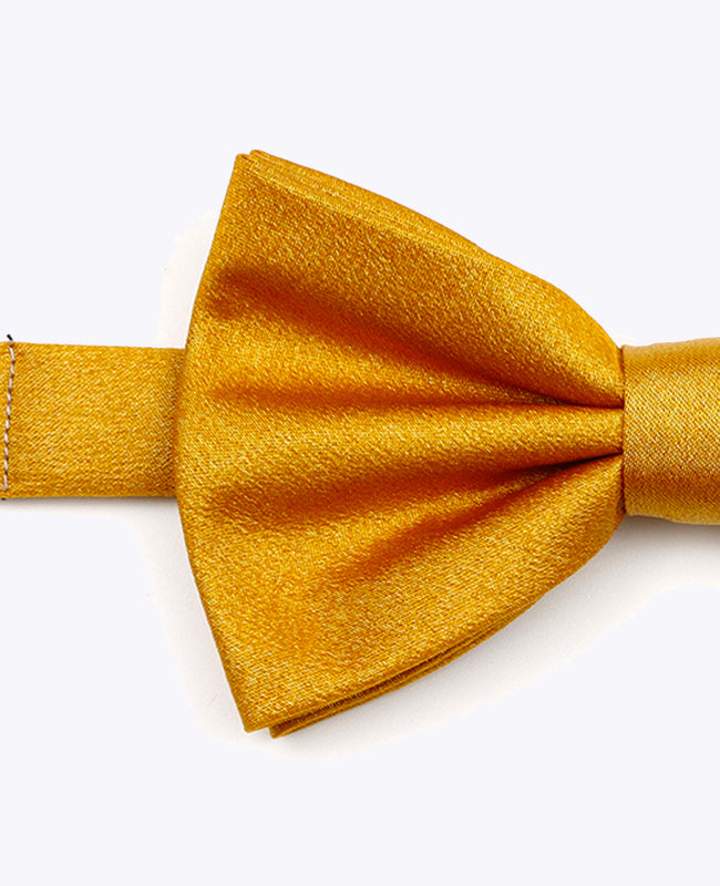 Papillon a Paillette Oro n°3 Uomo in Poliestere | Armand - Unipap's