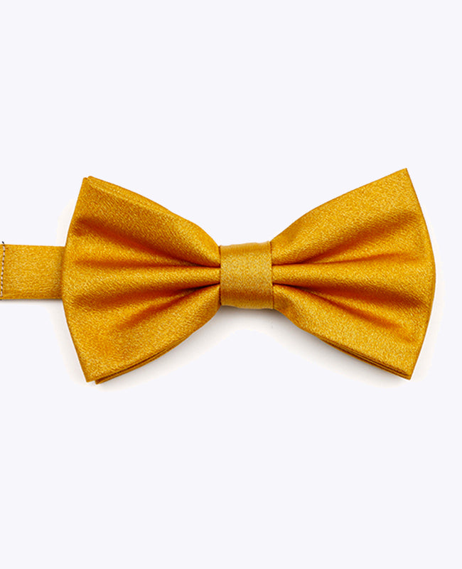 Papillon a Paillette Oro n°3 Uomo in Poliestere | Armand - Unipap's