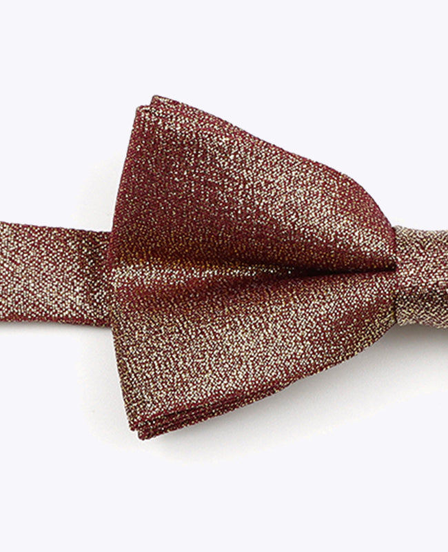 Papillon con Paillettes Marrone n°2 Bambini in Poliestere | Isidore - Unipap's