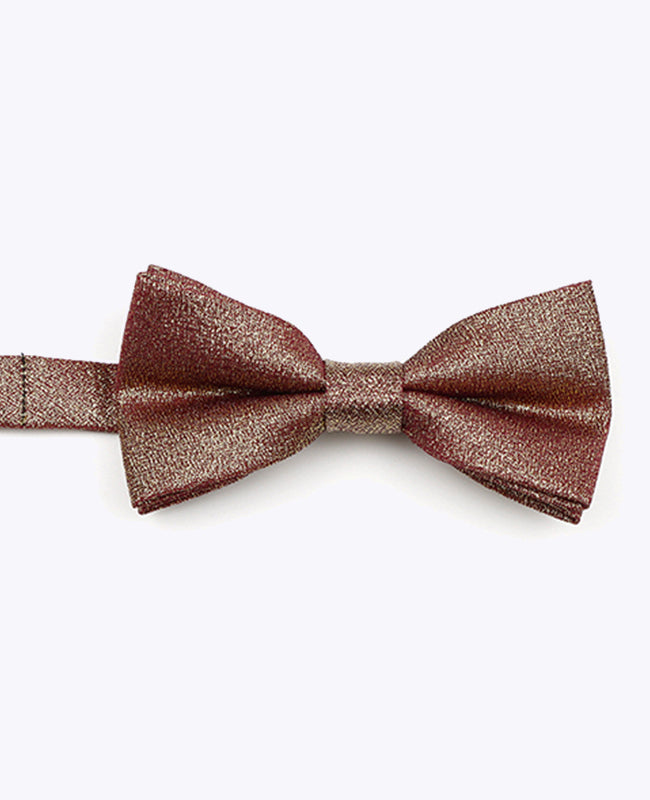 Papillon con Paillettes Marrone n°2 Bambini in Poliestere | Isidore - Unipap's