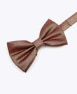 Papillon con Paillette Marrone n°2 Uomo in Poliestere | Isidore - Unipap's
