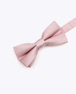 Papillon con Paillettes Rosa n°1 Bambini in Poliestere | Armand - Unipap's