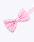Papillon con Paillettes Rosa n°1 Uomo in Poliestere | Isidore - Unipap's