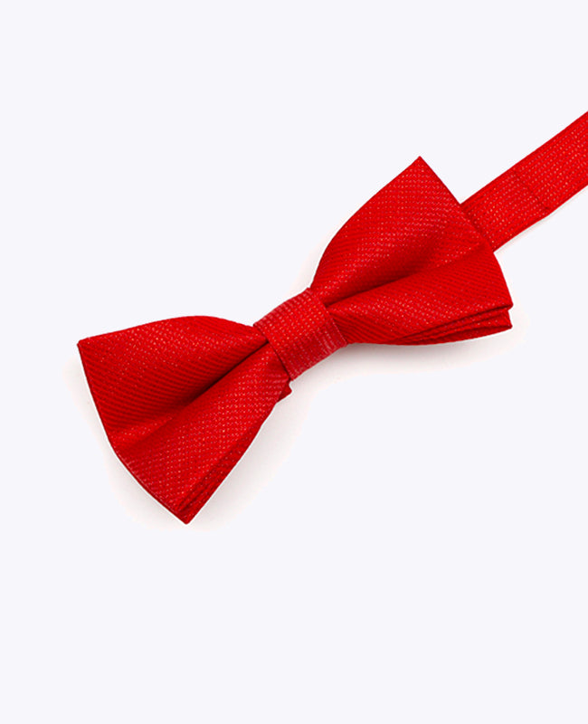 Papillon con Paillette Rosso n°1 Bambini in Poliestere | Léonard - Unipap's