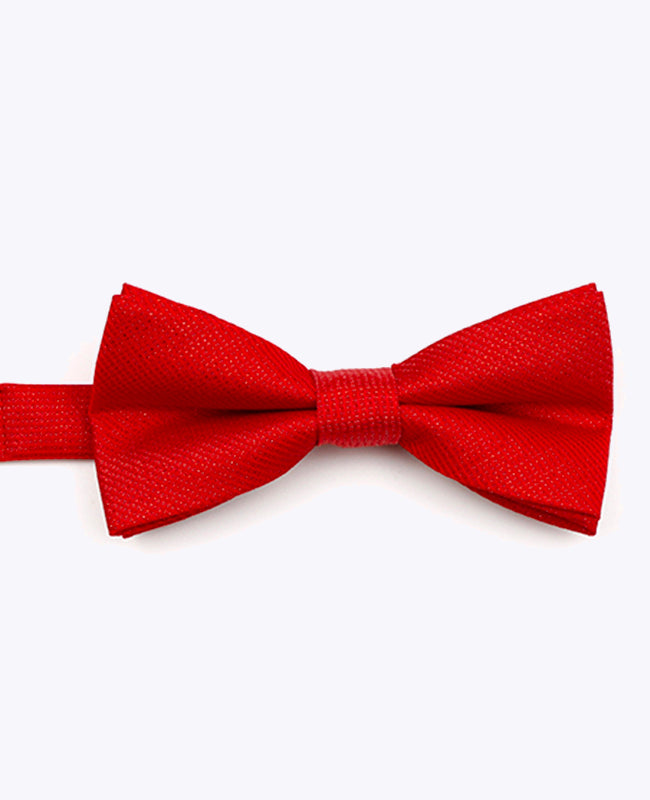 Papillon con Paillette Rosso n°1 Bambini in Poliestere | Léonard - Unipap's