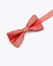 Papillon con Paillette Rosso n°2 Bambini in Poliestere | Isidore - Unipap's
