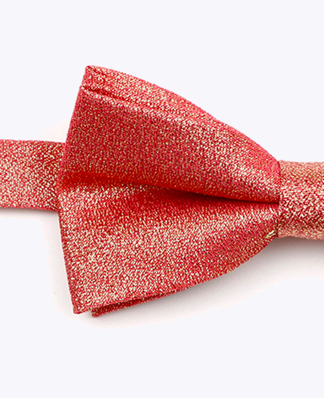Papillon con Paillette Rosso n°2 Bambini in Poliestere | Isidore - Unipap's