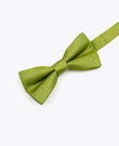 Papillon con Paillette Verde n°1 Bambini in Poliestere | Armand - Unipap's