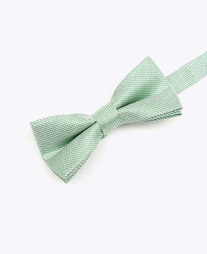 Papillon con Paillette Verde n°1 Bambini in Poliestere | Léonard - Unipap's