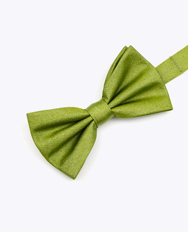 Papillon con Paillettes Verde n°1 Uomo in Poliestere | Armand - Unipap's