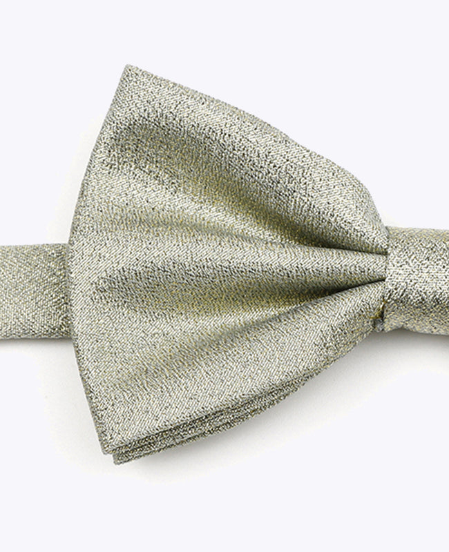 Papillon con Paillette Verde n°1 Uomo in Poliestere | Isidore - Unipap's