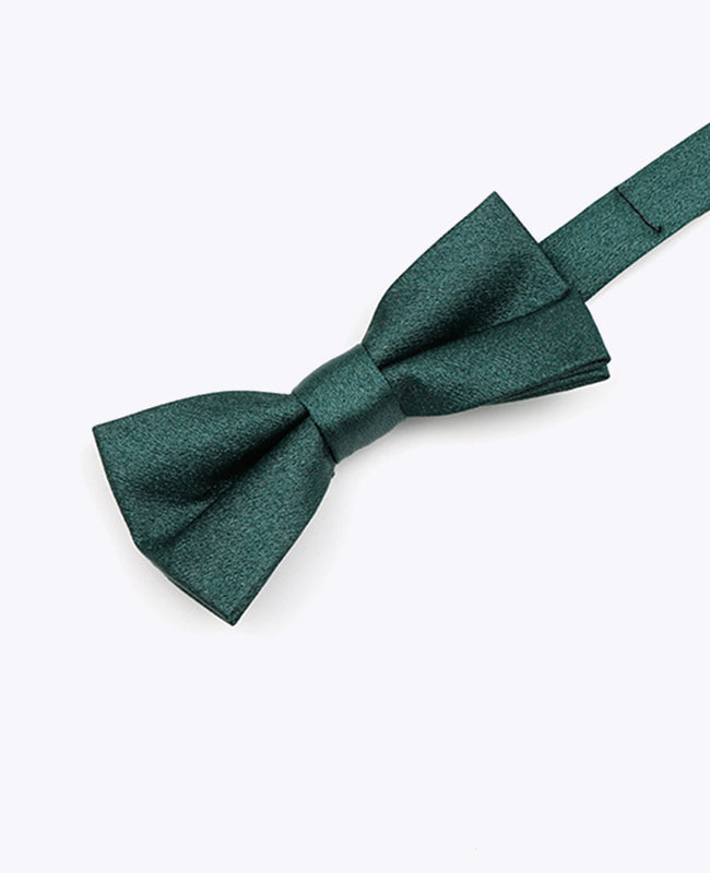 Papillon con Paillette Verde n°2 Bambini in Poliestere | Armand - Unipap's