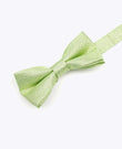 Papillon con Paillette Verde n°2 Bambini in Poliestere | Isidore - Unipap's