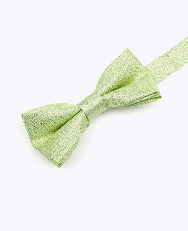 Papillon con Paillette Verde n°2 Bambini in Poliestere | Isidore - Unipap's