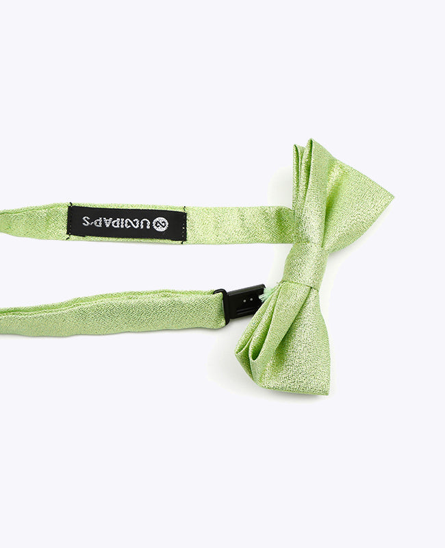 Papillon con Paillette Verde n°2 Bambini in Poliestere | Isidore - Unipap's