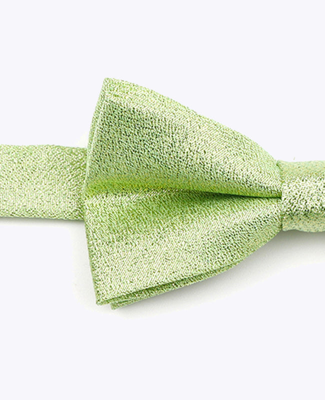 Papillon con Paillette Verde n°2 Bambini in Poliestere | Isidore - Unipap's
