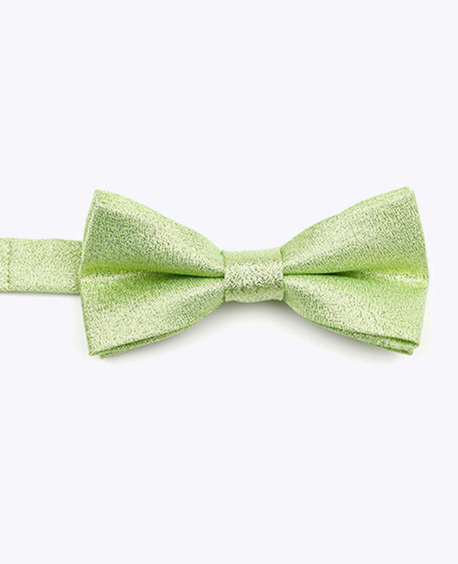Papillon con Paillette Verde n°2 Bambini in Poliestere | Isidore - Unipap's