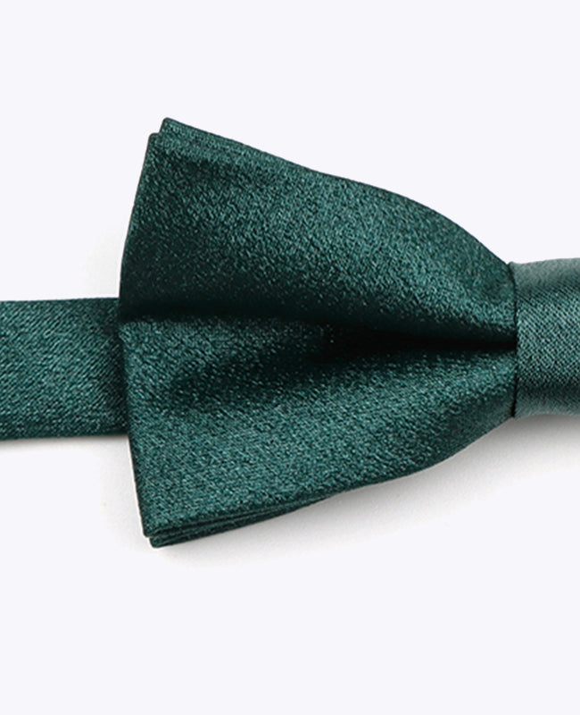 Papillon con Paillettes Verde n°2 Uomo in Poliestere | Armand - Unipap's