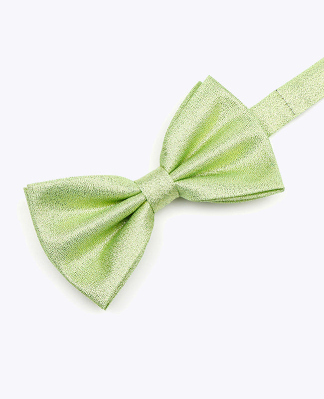Papillon con Paillette Verde n°2 Uomo in Poliestere | Isidore - Unipap's