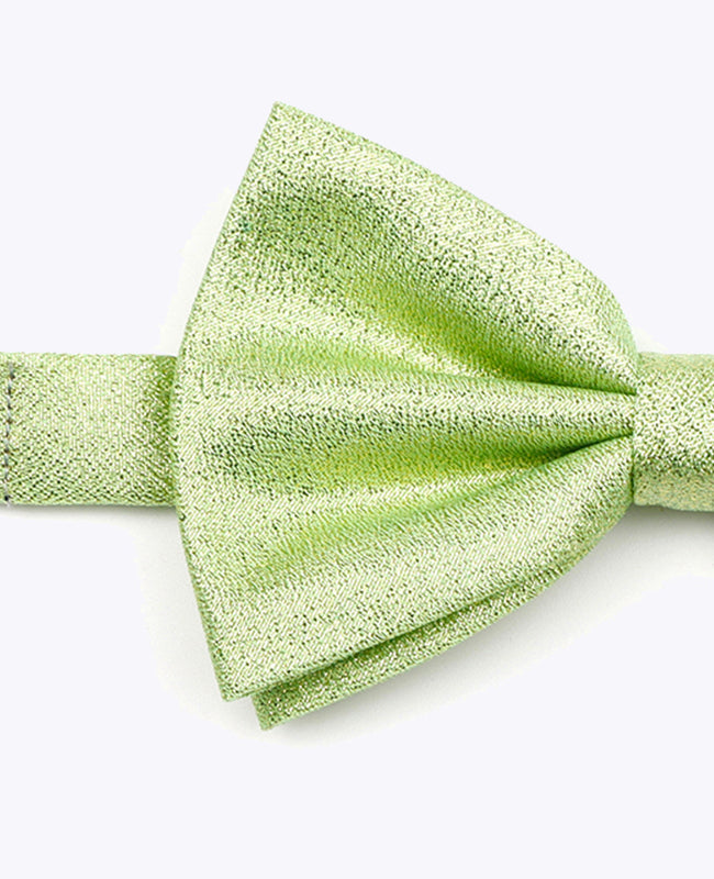 Papillon con Paillette Verde n°2 Uomo in Poliestere | Isidore - Unipap's