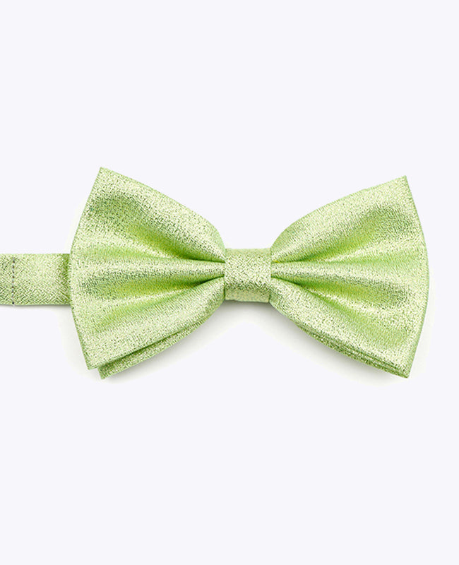 Papillon con Paillette Verde n°2 Uomo in Poliestere | Isidore - Unipap's