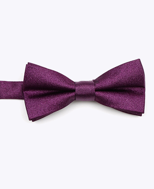 Papillon con Paillette Viola n°1 Bambini in Poliestere | Armand - Unipap's