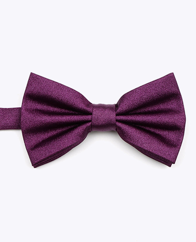 Papillon con Paillettes Viola n°1 Uomo in Poliestere | Armand - Unipap's