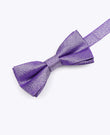 Papillon con Paillettes Viola n°2 Bambini in Poliestere | Isidore - Unipap's