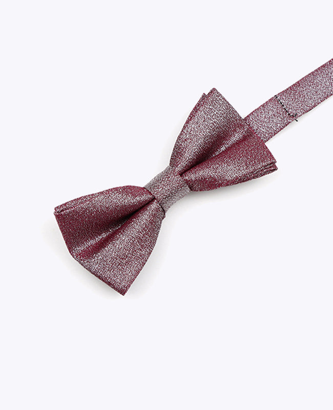 Papillon con Paillette Viola n°3 Bambini in Poliestere | Isidore - Unipap's