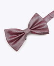 Papillon con Paillettes Viola n°3 Uomo in Poliestere | Isidore - Unipap's