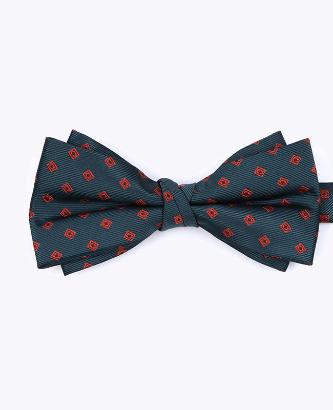 Papillon Verde Fantasia Uomo in Poliestere «Edmond»