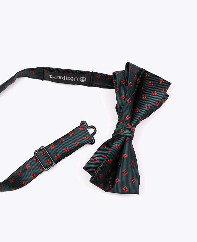 Papillon Verde Fantasia Uomo in Poliestere «Edmond»