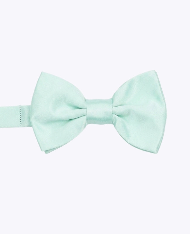 Papillon Verde n°2 Bambini in Poliestere «Anatole»