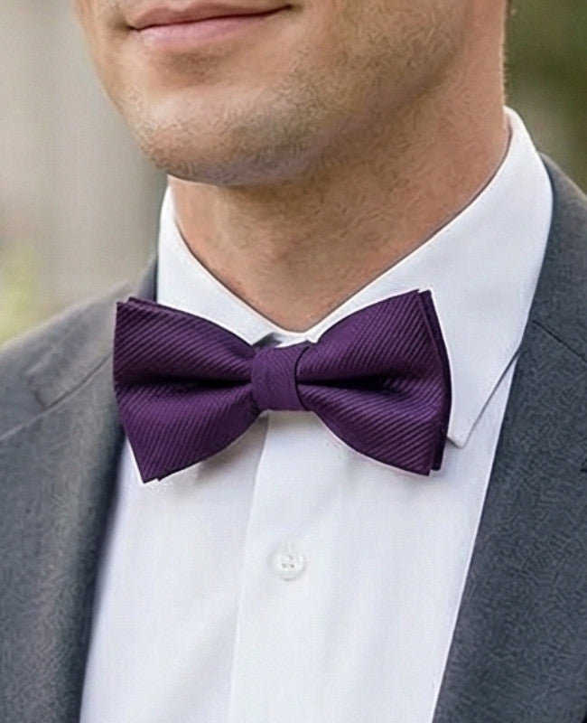 Papillon Viola n°2 Uomo in Poliestere «Lucien»
