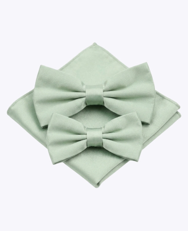 Papillon Verde n°1 Padre & Figlio + Fazzoletto da taschino in Poliestere «Anatole»